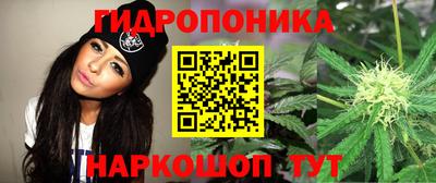 apvp Рыбинск